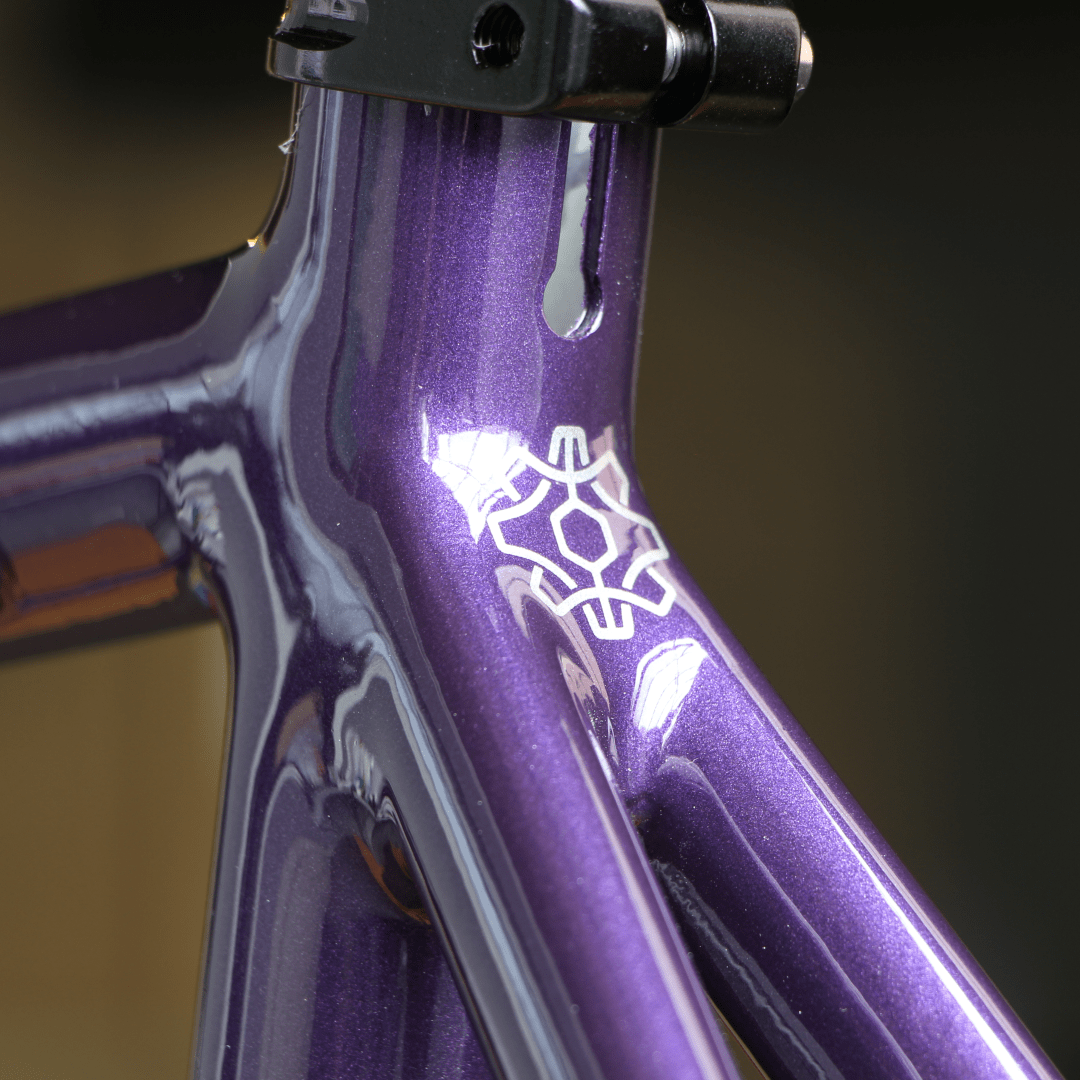 fahrradrahmen verchromen MANNHEIM RAHMENSET custom colour – DARKSIDE BICYCLES